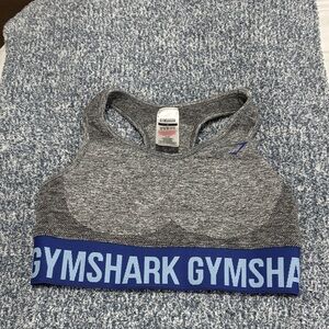 Gymshark Women's Heather Gray Sports Bra with Blue Band